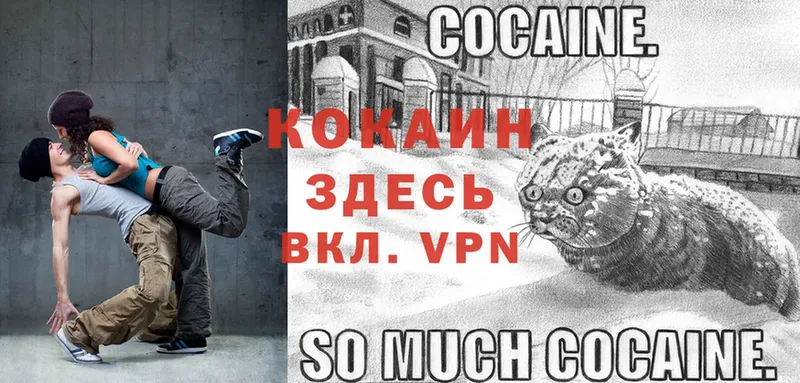 COCAIN Columbia  закладки  Лесной 