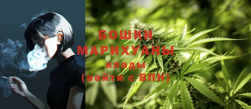 Бошки марихуана Bruce Banner  Лесной 